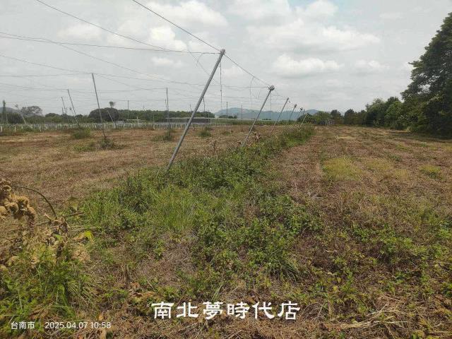 台南農地-5
