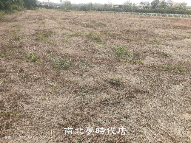 台南農地-7