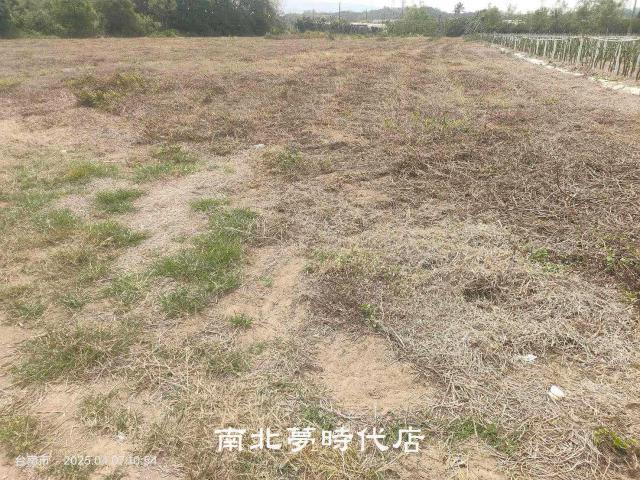 台南農地-8
