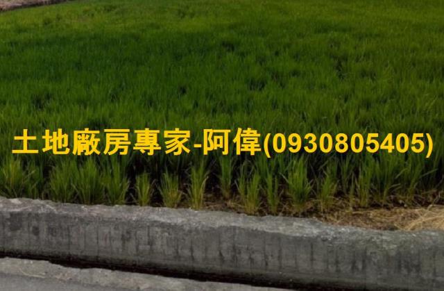 高雄大寮農地-0