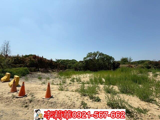 台南新化農地-1