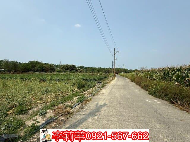 仁德農地-2