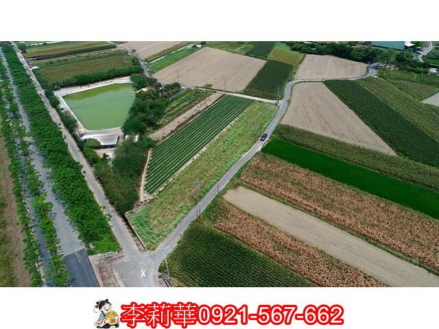 仁德農地-4