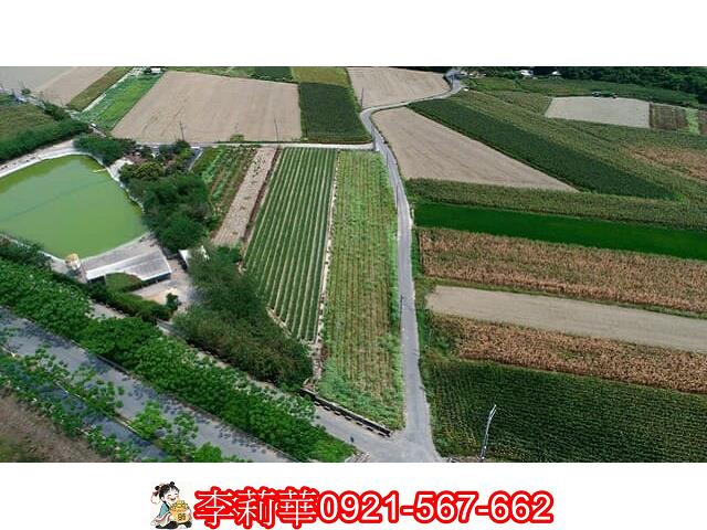 仁德農地-5