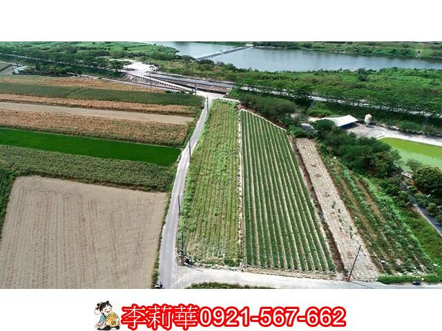仁德農地-6