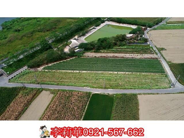 仁德農地-7