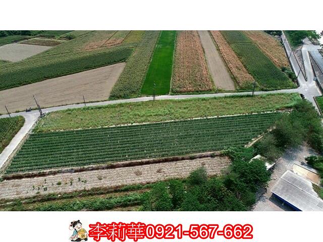 仁德農地-8