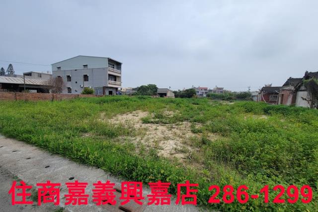 民雄農地-4