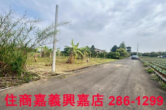 東區農地-1