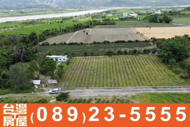 台東鹿野農地-3