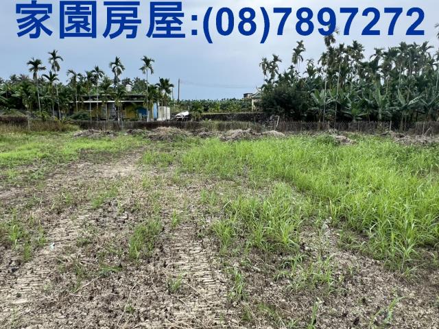 屏東萬巒農地-2