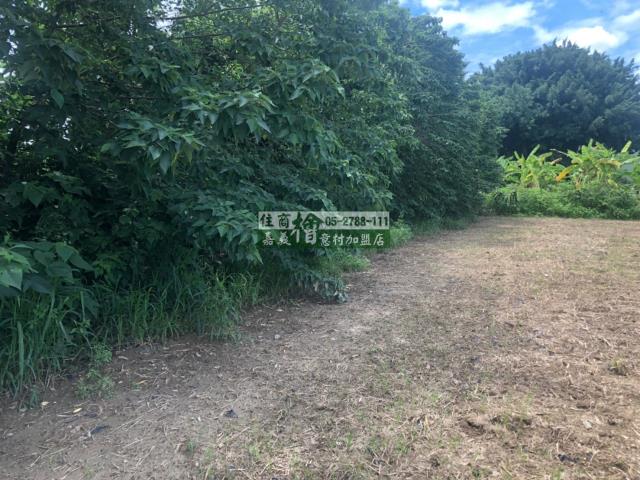 民雄農地-2