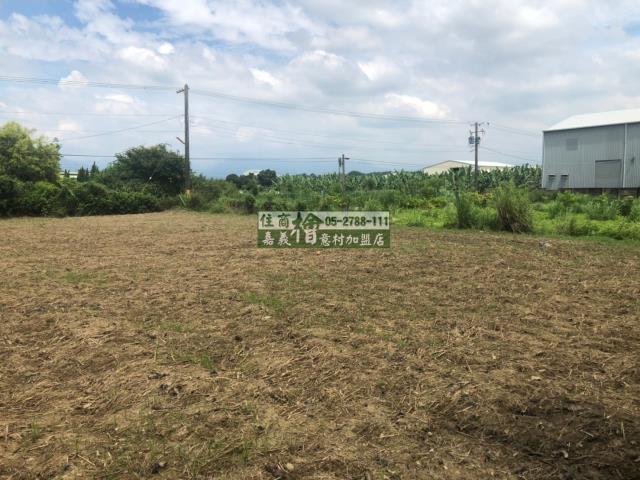 民雄農地-4