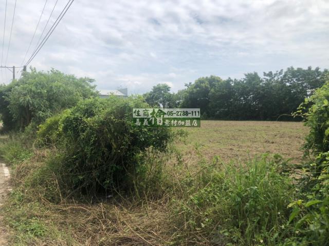 民雄農地-6