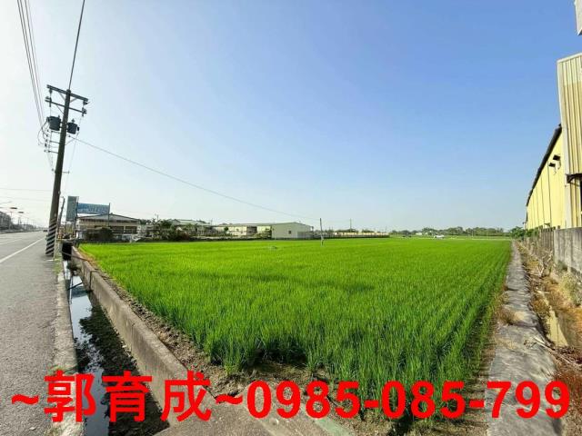 西區農地-2