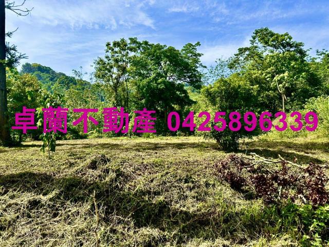 苗栗農地-5