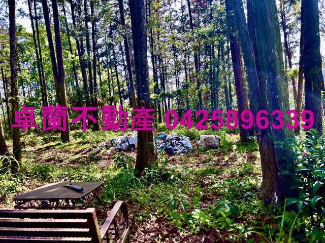 苗栗農地-7