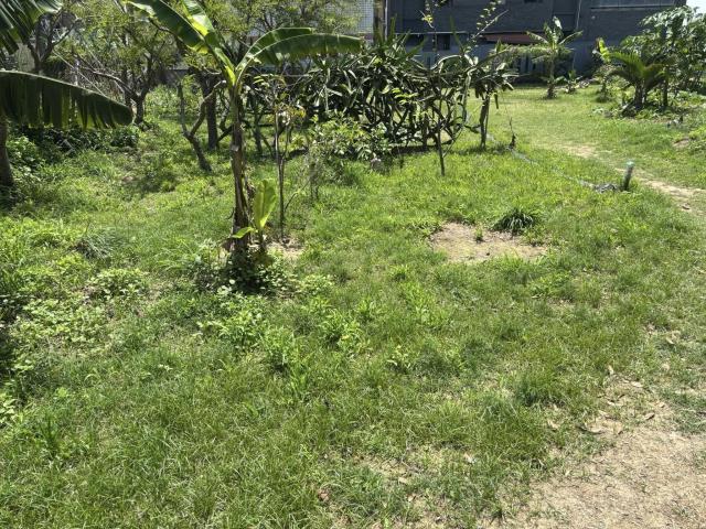 台中大雅農地-4