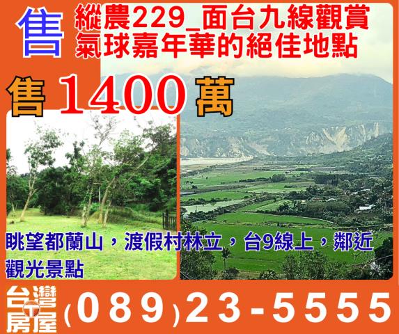 卑南農地-0