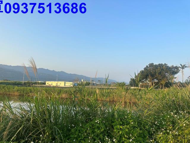 礁溪農地-3