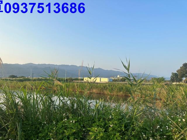 礁溪農地-5