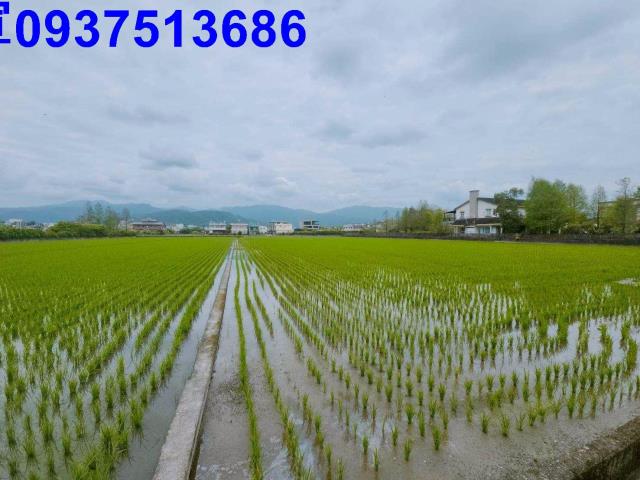 員山農地-3