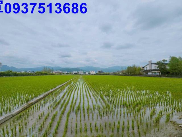 員山農地-4