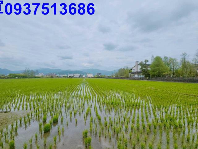 員山農地-7