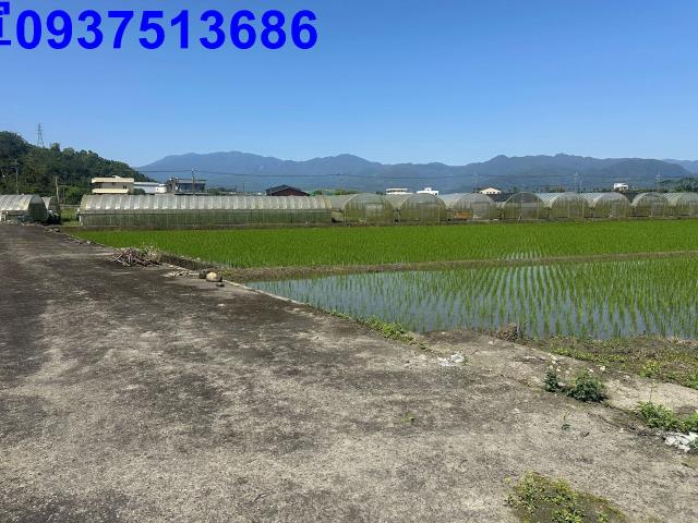 三星農地-14