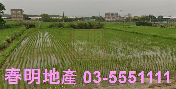 新竹新豐農地-5