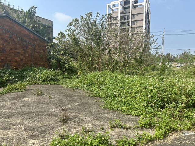 大園農地-4