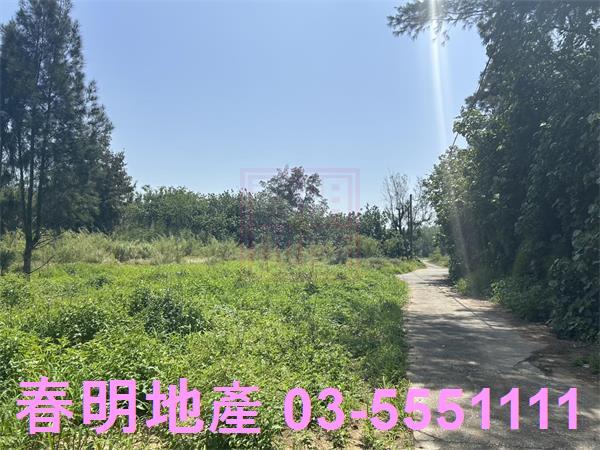 後龍農地-5