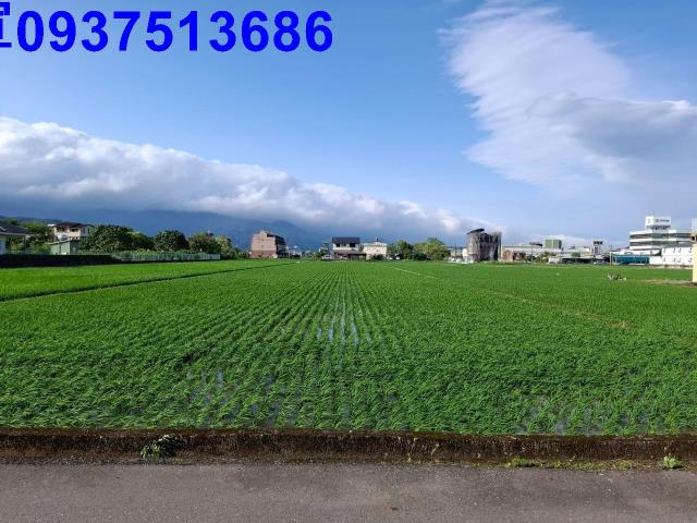 宜蘭農地-9