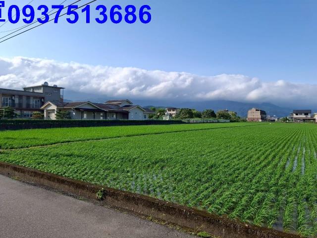 宜蘭農地-3