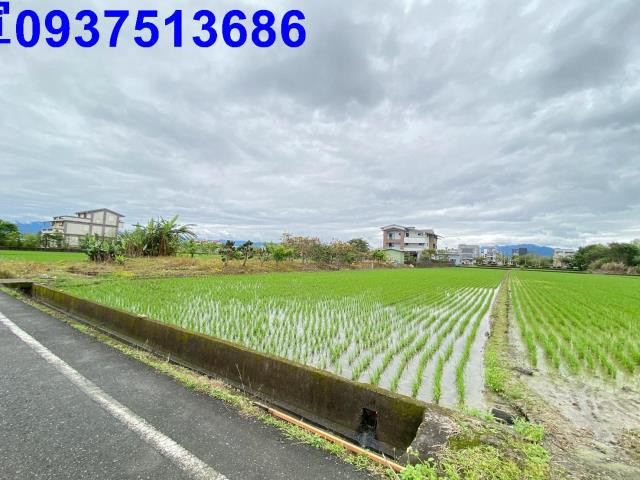 宜蘭農地-3