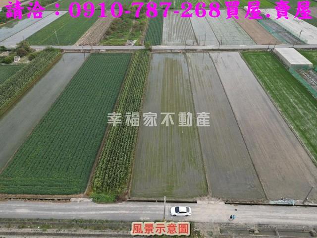 台南佳里農地-11