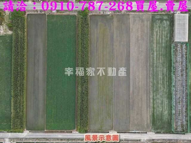 台南佳里農地-12