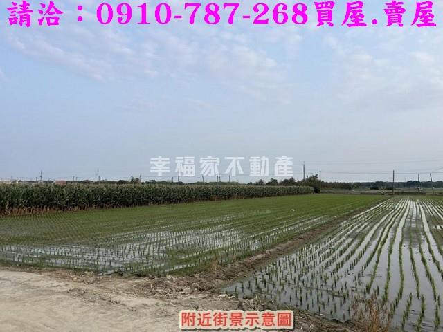 台南佳里農地-2