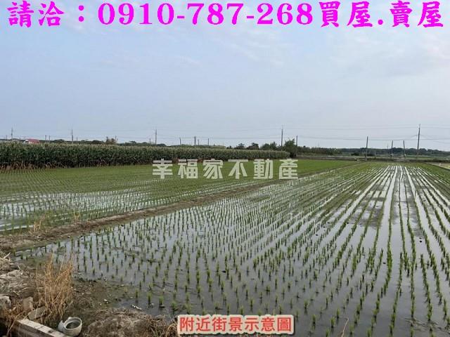 台南佳里農地-4