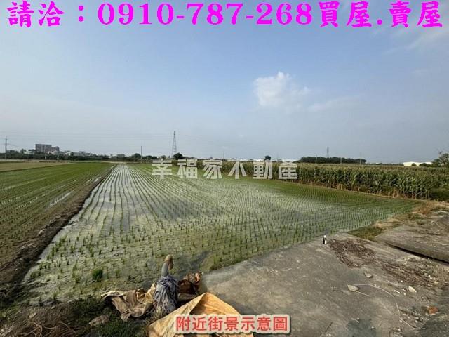 台南佳里農地-5