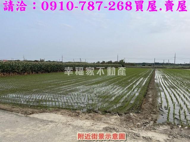 台南佳里農地-7