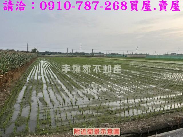 台南佳里農地-8