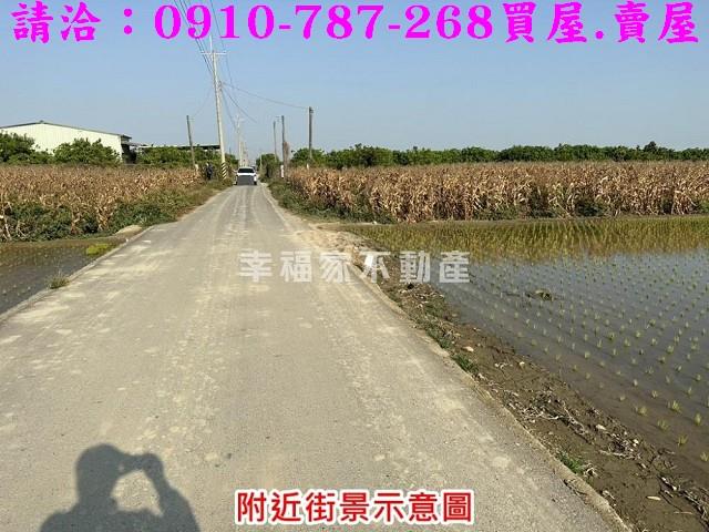 台南麻豆農地-0