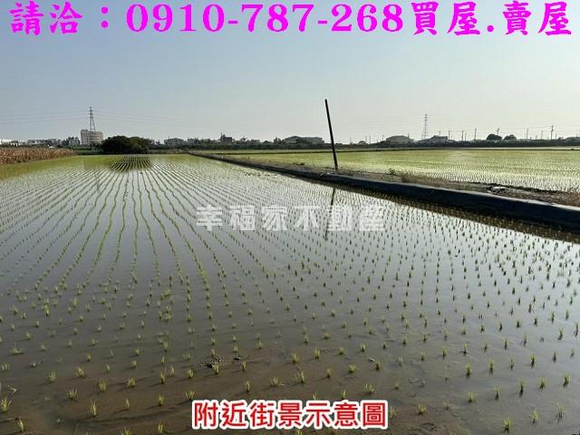 台南麻豆農地-4