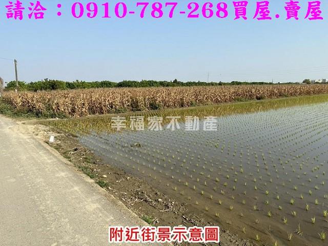 台南麻豆農地-5