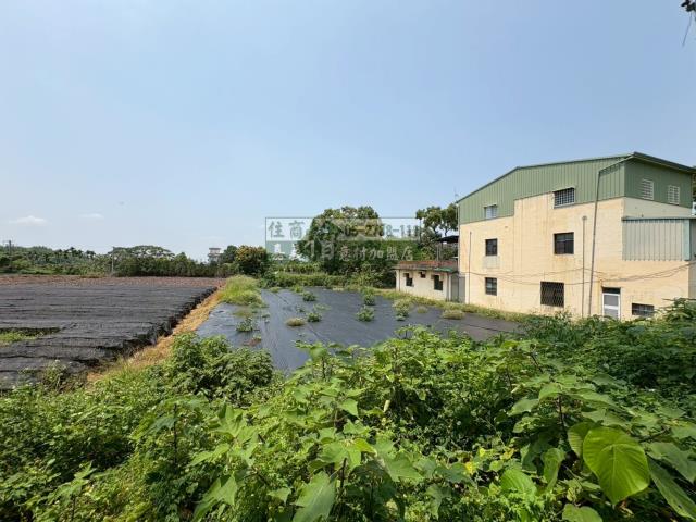東區農地-7