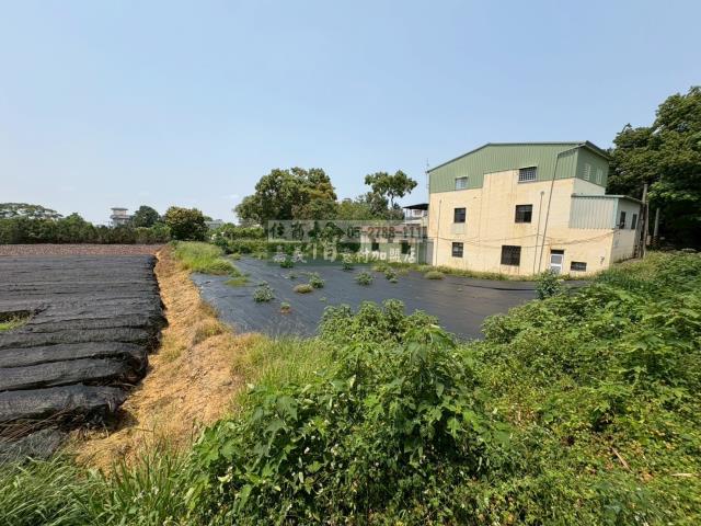 東區農地-8