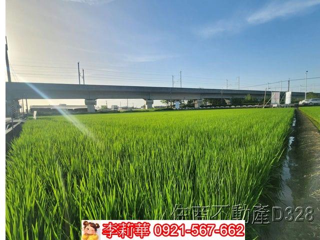 六甲農地-10