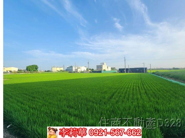 六甲農地-11