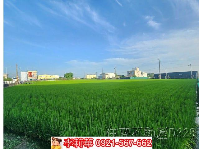 六甲農地-12